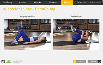 Webbasiertes Training