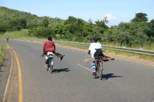 In Malawi dienen Fahrräder als Transportmittel für Ziegen.