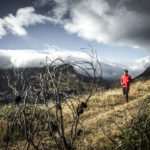 Laufen im Herbst und im Winter seinen eigenen Charme und auch viele Vorteile. Bild: <a href="http://www.runnerspoint.com" target="_blank" rel="noopener">Runners Point</a>