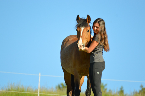 Grundlagen der Pferdephysiotherapie