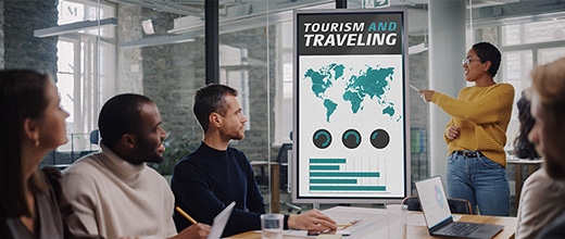 Tourism Consulting