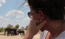 Auslandssemester in Simbabwe: Kathrin Ehrke frühstückt mit Elefanten