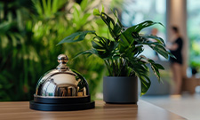 Kostenloses Whitepaper: Green Hospitality