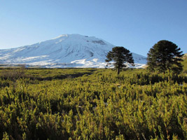 Chile