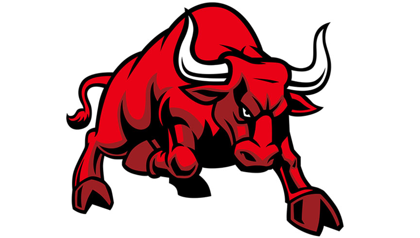 Logo Rote Bullen Leipzig