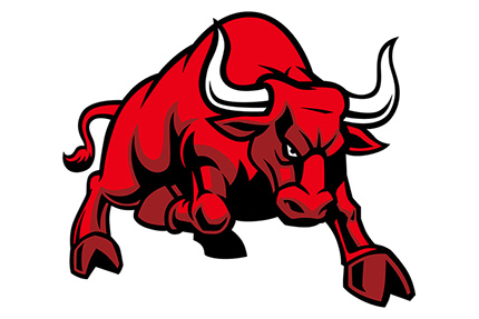 Logo rote Bullen Leipzig