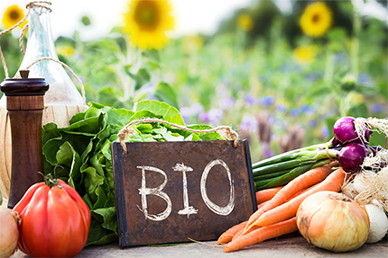 Bio-Obst und -Gemüse