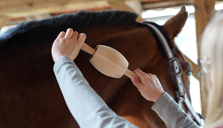 Faszienrolle für Pferde