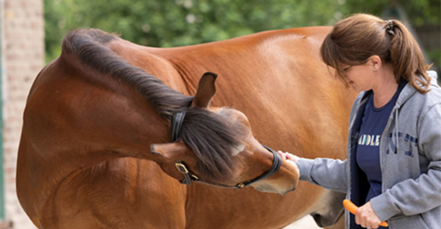Fasziendehnung am Hals des Pferdes