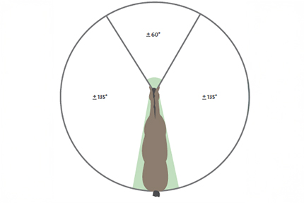 Blickfeld eines Pferd im Horsemanship verstehen